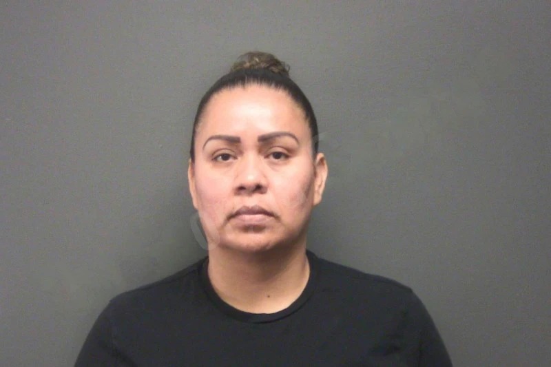 Beatriz Mendoza Mugshots