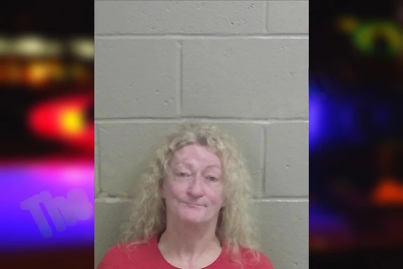 Beth Thornton Mugshots