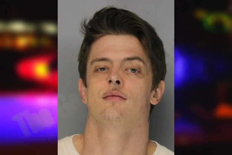 Blake Wasik mugshot – Hall County , Georgia Blake Wasik