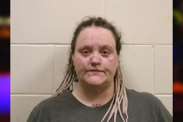 Blaklyn Clemmons mugshot – Bulloch County , Georgia Blaklyn Clemmons
