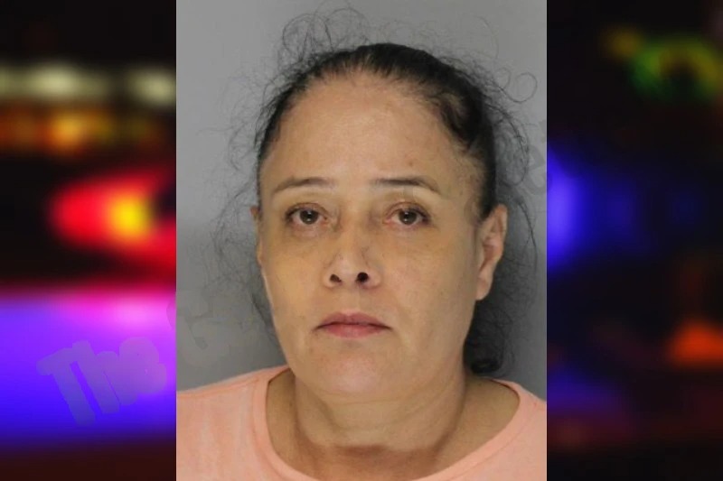 Blanca Bravo Mugshots