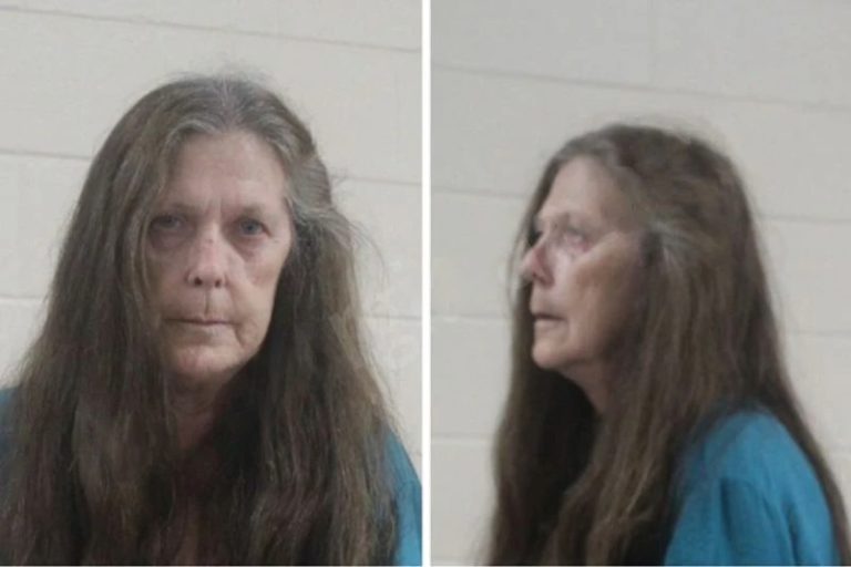 Bonnie Proctor mugshot – Houston County , Georgia Bonnie Proctor