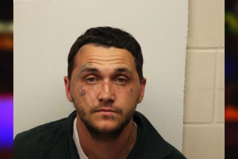 Bradley Pettit mugshot – Henry County , Georgia Bradley Pettit