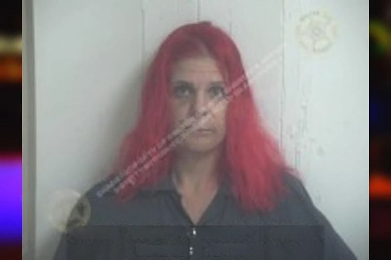 Brandi Arden Mugshots