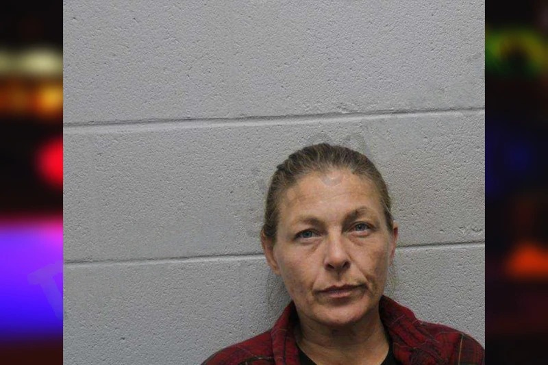 Brandi Debice mugshot