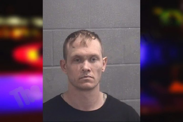 Brandon Brown mugshot – Spalding County , Georgia Brandon Brown