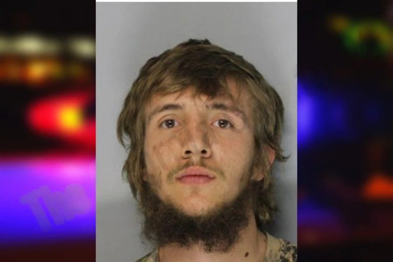 Brandon Fowler mugshot – Hall County , Georgia Brandon Fowler