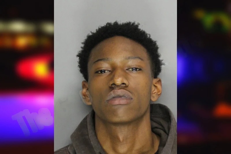 Brandon Prigmore Mugshots