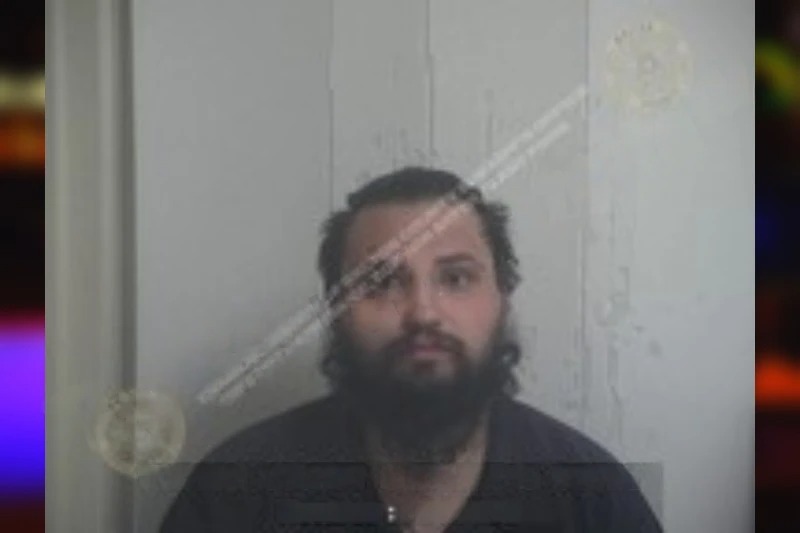 Brandon Radu Mugshots