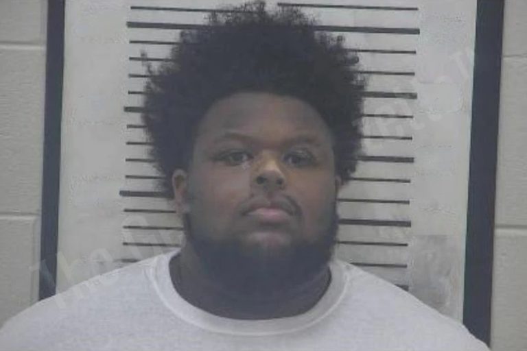 Brandon Reed mugshot – Coffee County , Georgia Brandon Reed
