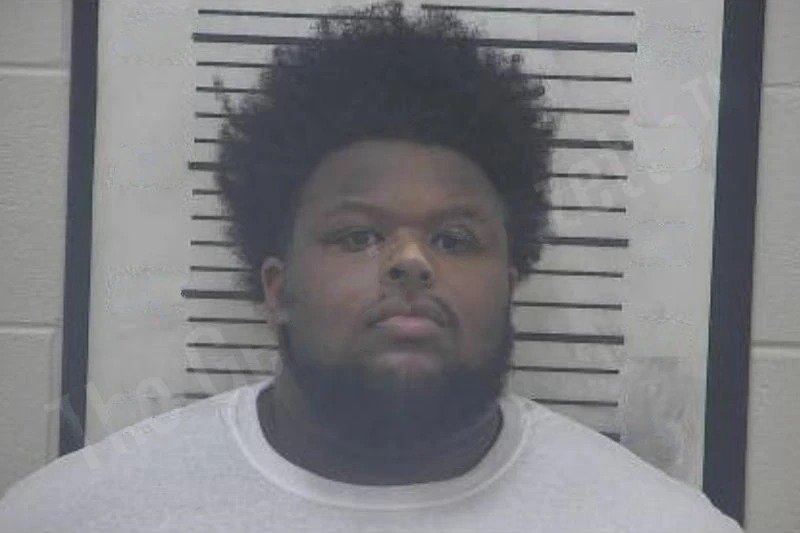 Brandon Reed mugshot