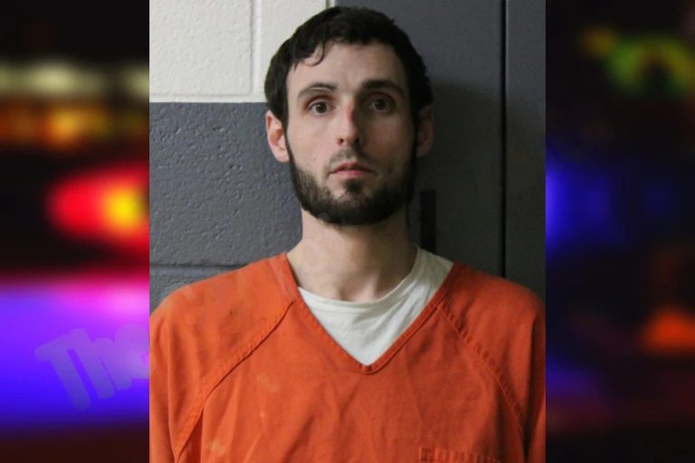 Brandon Sosebee mugshot – Lumpkin County , Georgia Brandon Sosebee