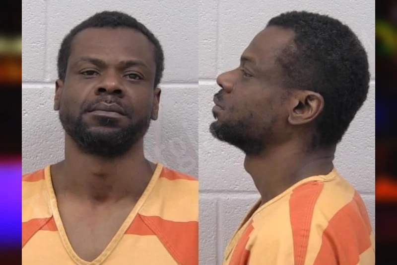 Brandon Whitehead Mugshots