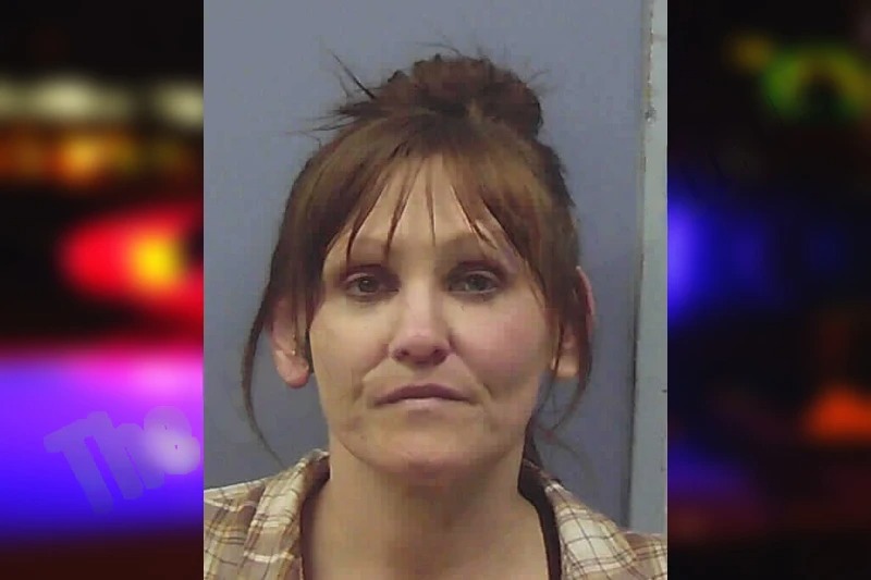 Brandy Arnold mugshot