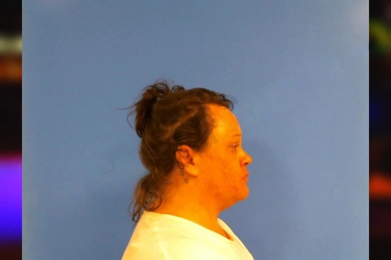 Brandy Davis Mugshots