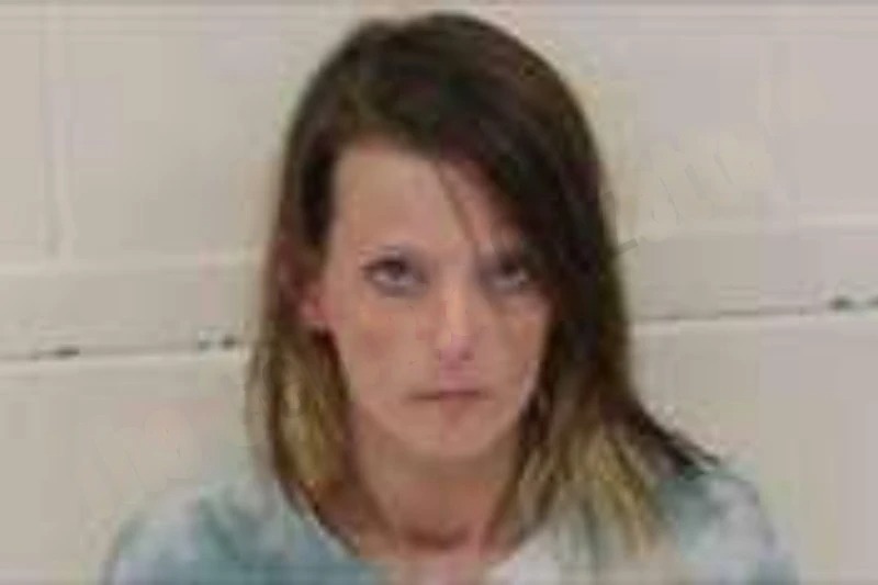 Brandy Gillis Mugshots