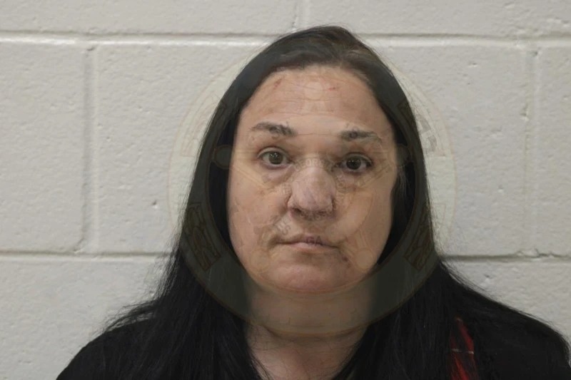 Brandy McCarey Mugshots