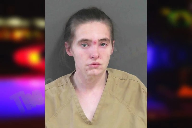 Brandy Redwine Mugshots