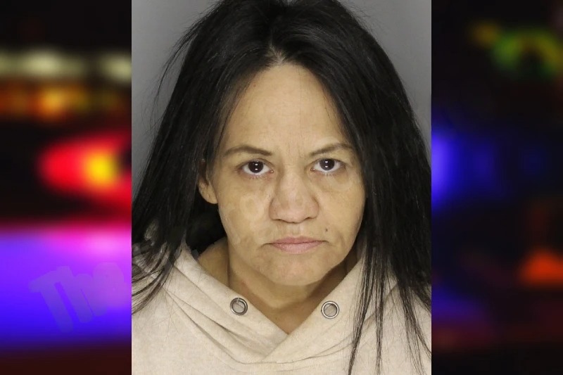 Brandy Suggs mugshot – Cobb County , Georgia Brandy Suggs mugshot