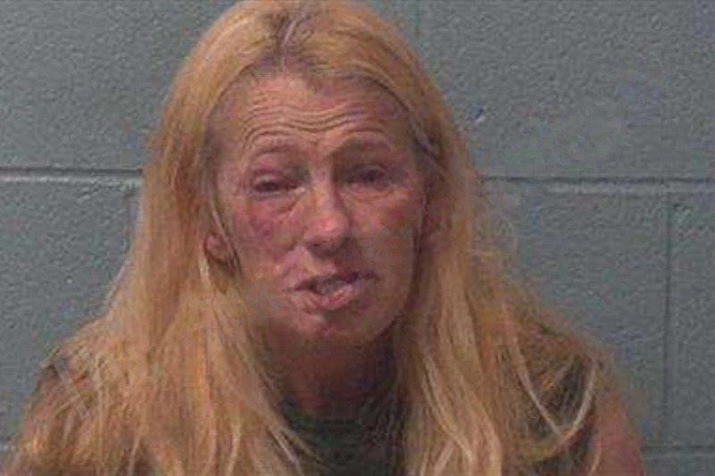 Brandy Wilson Mugshots