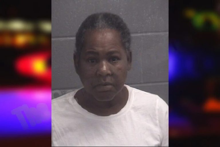 Brenda Boyd mugshot – Spalding County , Georgia Brenda Boyd