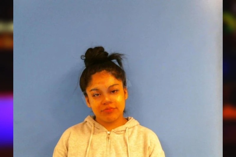 Brenda Ceja Mugshots