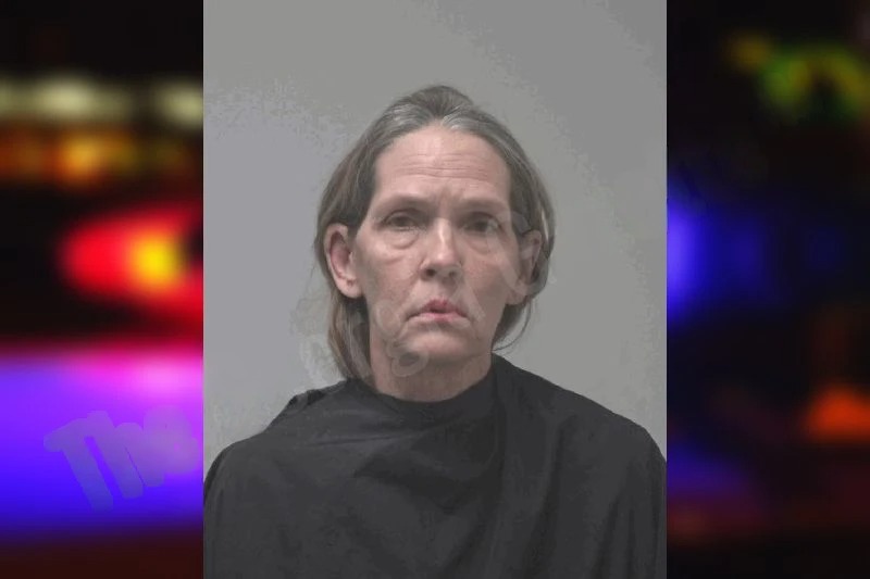 Brenda Flannagan Mugshots