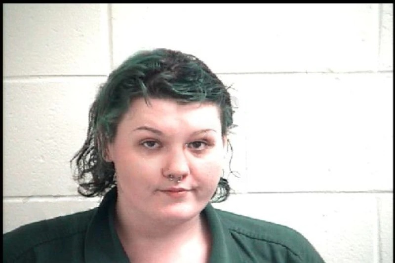 Brenna Dickey mugshot – Henry County , Georgia Brenna Dickey mugshot