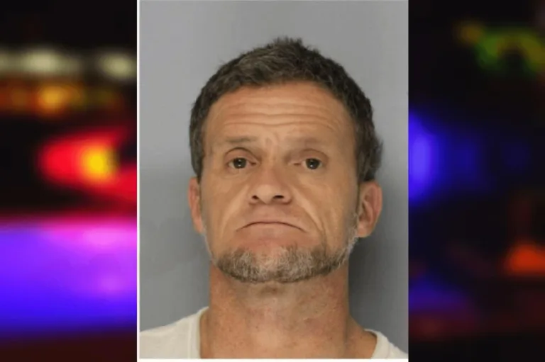 Brett Braswell mugshot β Hall County , Georgia Brett Braswell