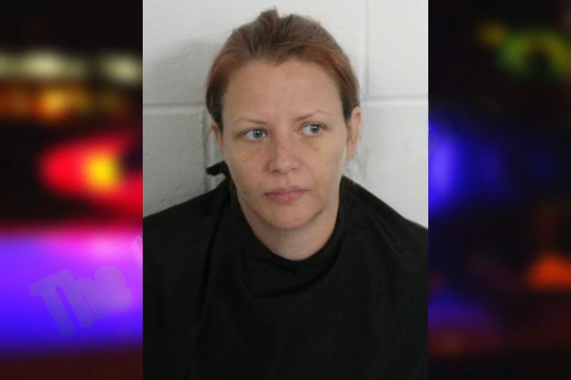 Briana Chapman Mugshots