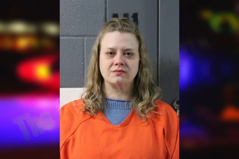 Briana Lewis mugshot – Lumpkin County , Georgia Briana Lewis mugshot