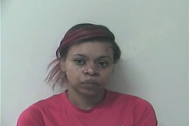 Briana Simpson mugshot – Oconee County , Georgia Briana Simpson