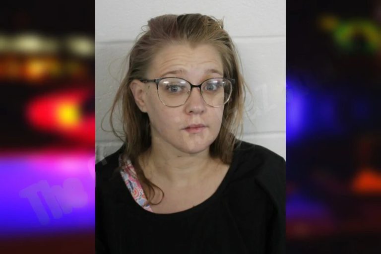 Brianna Baldwin mugshot – Floyd County , Georgia Brianna Baldwin