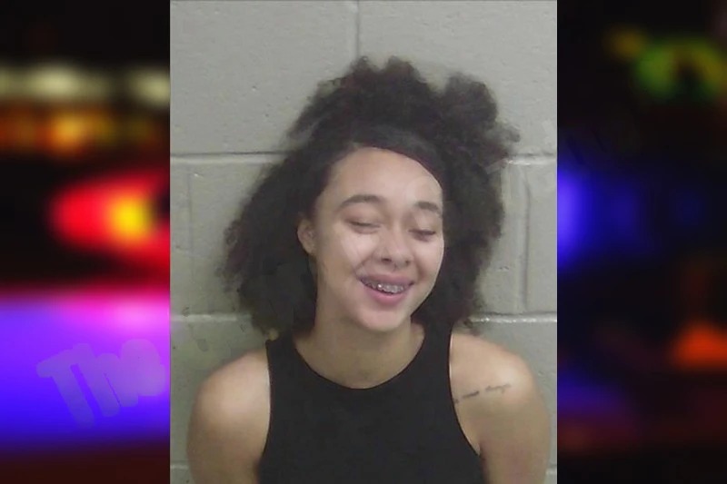 Brianna Brooker Mugshots