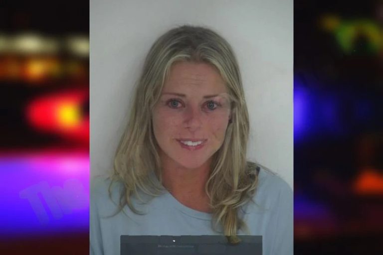 Brianna Eaton mugshot – Fayette County , Georgia Brianna Eaton