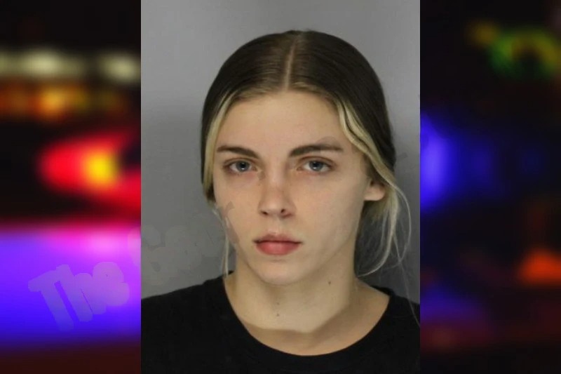 Brianna Newman mugshot – Hall County , Georgia Brianna Newman mugshot