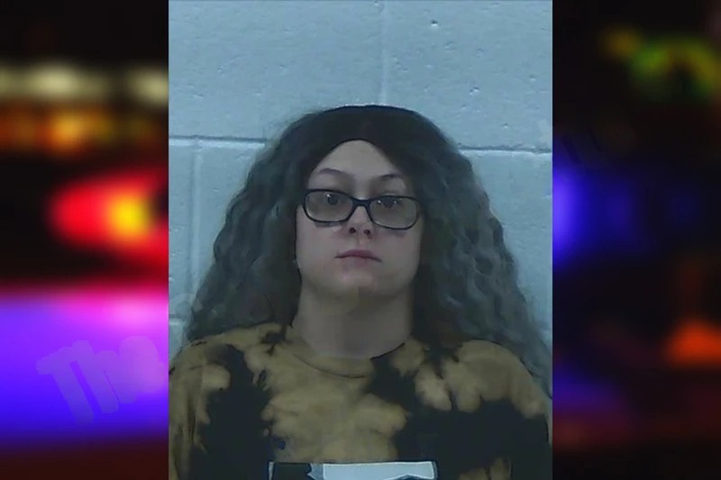 Brianna Pacileo mugshot – Jackson County , Georgia Brianna Pacileo mugshot