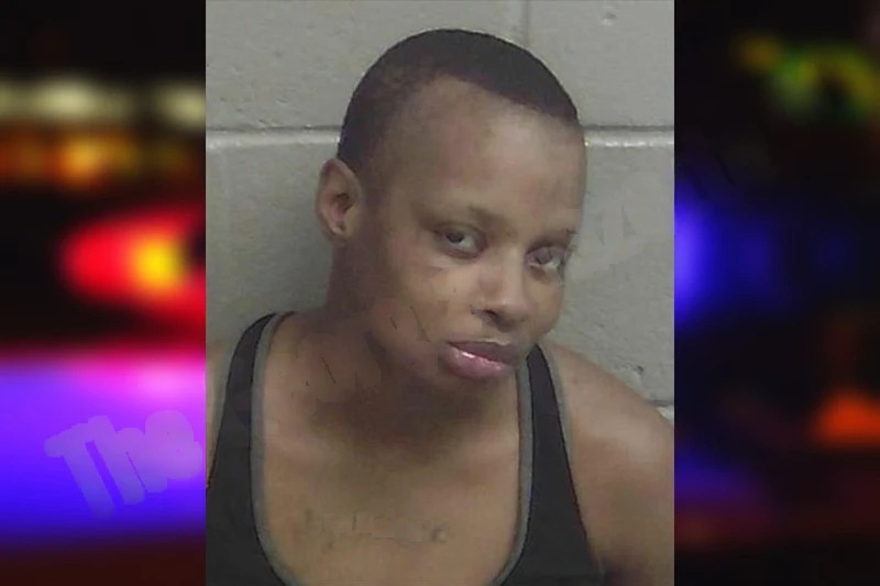 Brianna Wright Mugshots