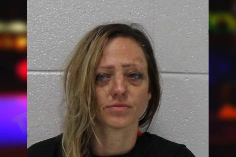 Bridget Blanks mugshot – Carroll County , Georgia Bridget Blanks