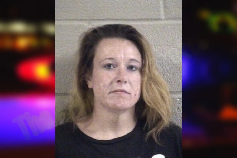 Bridgette Riddle Mugshots