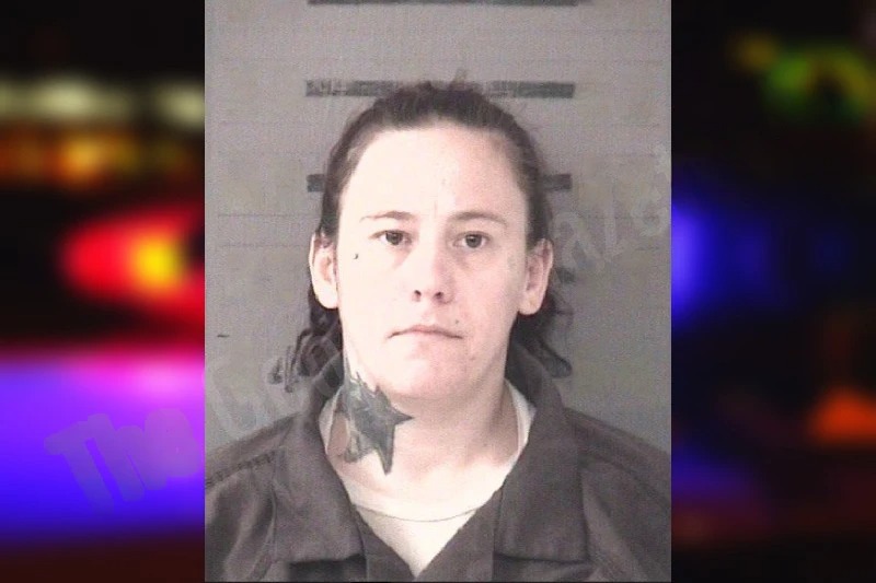 Brigette Moon Mugshots