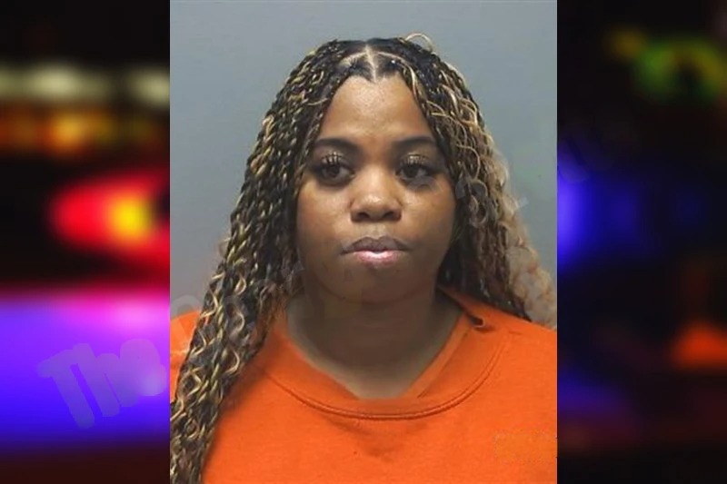 Britani Lee Mugshots