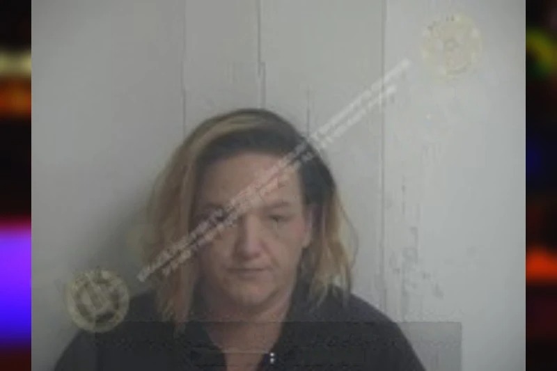 Brittany Adams Mugshots