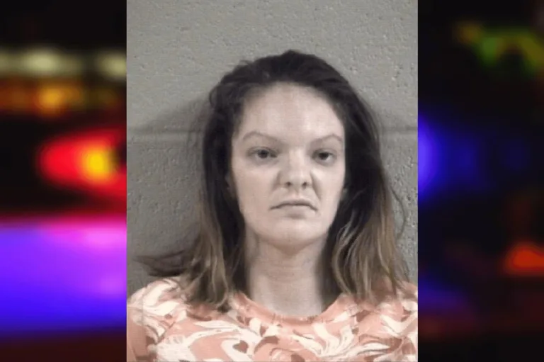 Brittany Averette mugshot – Whitfield County , Georgia Brittany Averette