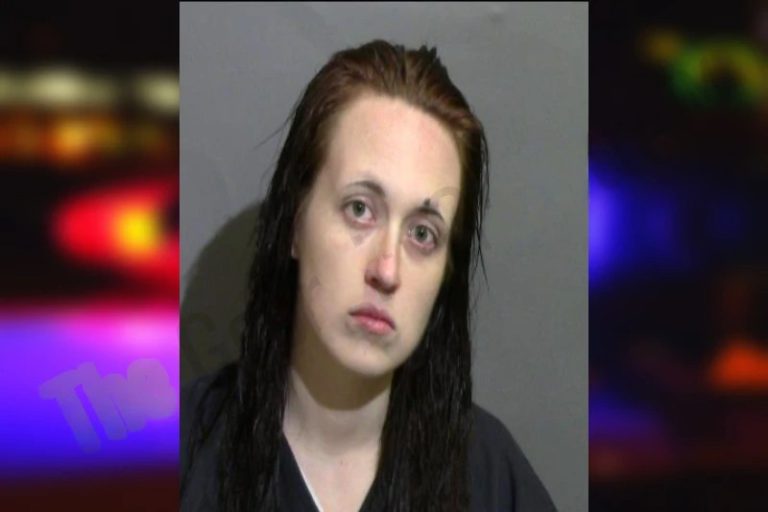 Brittany Edwards mugshot – Glynn County , Georgia Brittany Edwards