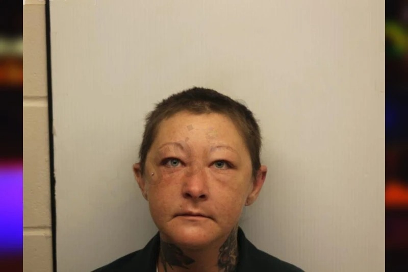 Brittany Hostetler mugshot