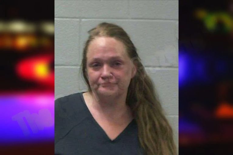 Brittany Lewis mugshot – Gilmer County , Georgia Brittany Lewis