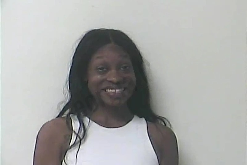 Brittany Moss mugshot – Oconee County , Georgia Brittany Moss mugshot