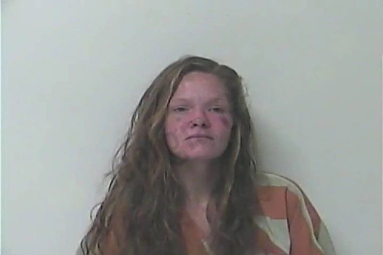 Brittany Streetman mugshot – Oconee County , Georgia Brittany Streetman