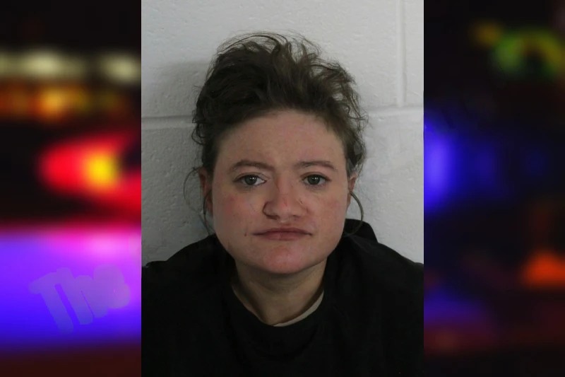 Brittany Sturgeon Mugshots